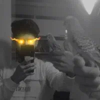 مرغ عشق کاملا اهلی