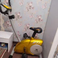 دوچرخه ثابت