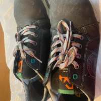 کفش کار|کیف، کفش، کمربند|مشهد, دریادل|دیوار