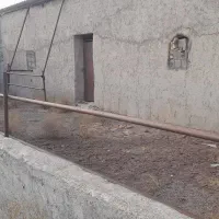 دامداری و سوله|فروش دفتر صنعتی، کشاورزی، تجاری|ماهدشت, |دیوار