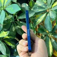 ایفون ۱۲ مینی کمیاب ، مشابه اکبند ، زیر قیمت|موبایل|تهران, اقدسیه|دیوار