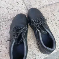 کفش کار|کیف، کفش، کمربند|مشهد, موعود|دیوار