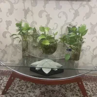 میز جلو مبلی درحد نو