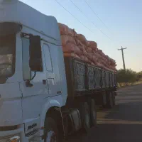 کاه|عمده‌فروشی|یزد, |دیوار