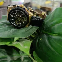 ساعت مچی ویولت اصلی زنانه|ساعت|تهران, باغ خزانه|دیوار