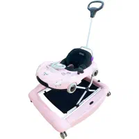 دو عدد روروئک