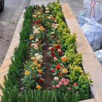 خدمات باغبانی در سراسر تهران گل باغچه و آپارتمانی|خدمات باغبانی و درختکاری|تهران, فاطمی|دیوار