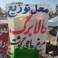 توزیع کالا برگ مرغ ماهی