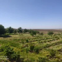 فروش مزرعه 34هکتار .بویین زهرا 120کیلومنری تهران|فروش دفتر صنعتی، کشاورزی، تجاری|بوئین زهرا, |دیوار