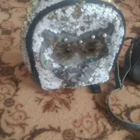 کیف. بچه گونه