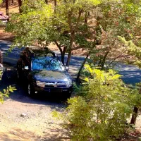 رنو داستر|خودرو سواری و وانت|تهران, کاشانک|دیوار