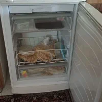 یخچال فریزر مارک دونار|یخچال و فریزر|پاکدشت, پاکدشت (مامازند)|دیوار