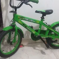 دوچرخه ۱۶ ابی وسبز