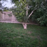 4200متر-اختلاف-قیمت-فرصت-محدود-قانونی-سند-دار