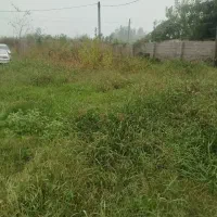 چمنزنی علفزنی با دستگاه|خدمات باغبانی و درختکاری|لاهیجان, بازکیاگوراب|دیوار