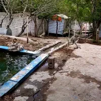 باغ ویلا اجاره ای روزانه سالانه|اجارهٔ خانه و ویلا|کاشمر, |دیوار