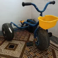 گل دیفن سانسوریاپتوس یوکاقاشقی شفلراووسیله|گل و گیاه طبیعی|اسلام‌‌آباد غرب, |دیوار