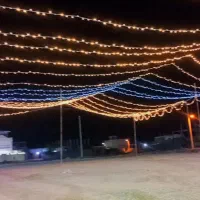 ریسه ارایی سام