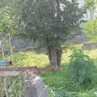 زمین تمام مسکونی ۵۴۰ متر سند تک برگ واقع در فخب|فروش زمین و ملک کلنگی|رشت, کوی حسینی|دیوار