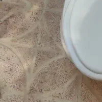 توالت فرنگی سالم سالم|لوازم سرویس بهداشتی|قرچک, باقرآباد|دیوار