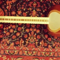 تار رضا خانی دو مُهر