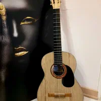 گیتار دست ساز اوکتاو پلاس