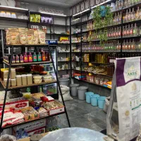 همکار خانم نیمه وقت