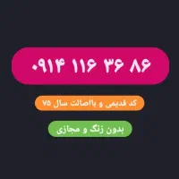 فروش ویژه خط رند ۱۱۶ کد قدیمی  ۰۹۱۴.۱۱۶.۳۶.۸۶