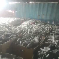 پخش عمده و خرده فروشی انواع زغال (بنکداری صادقی)|عمدهفروشی|تهران, شهرک ولیعصر جنوبی|دیوار