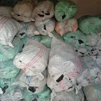 پخش زغال اتشفشان|عمده‌فروشی|گرگان, |دیوار