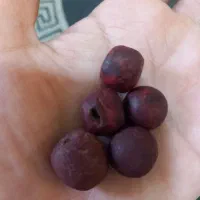 مهره ه