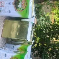 حلب خیارشوری