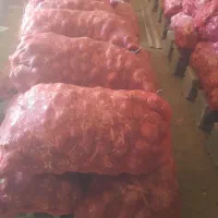 پیاز عمده|عمدهفروشی|گوآور, |دیوار