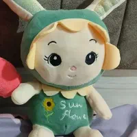 عروسک پولیشی