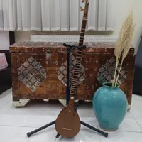 سه تار نیمه حرفه ای