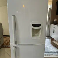 یخچال فیلور کاملا سالم بدون زردی و پوسیدگی