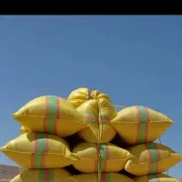 لوازم جانبی حیوانات