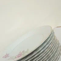 ۱۲ عدد بشقاب چینی گل صورتی|ظروف سرو و پذیرایی|فولادشهر, A3|دیوار