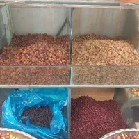 استندشیشه ایی اجیل فروشی