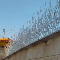 حفاظ تولید حفاظ شاخ گوزنی|عمدهفروشی|کرج, کارخانه قند|دیوار