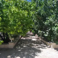 سرایداری و نگهبانی