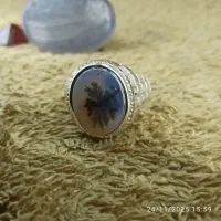 بیا ببین چه خبره