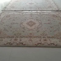 فرش شش متری ماشینی سالم|فرش|پردیس, فاز ۸|دیوار