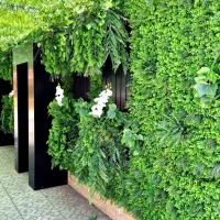 دیوارسبز با برگ مصنوعی برای تزئین اماکن شما|گل مصنوعی|تبریز, |دیوار