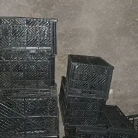 سبد میوه