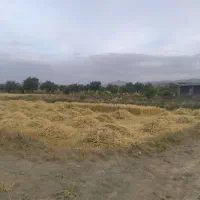 فروش زمین کشاورزی حسن اباد ماکوله