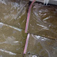 انواع سبزی خشک و تر موجود میباشد|خوردنی و آشامیدنی|حمیدیه, |دیوار