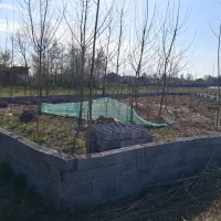 زمین باغی ۴۸۶ متری|فروش زمین و ملک کلنگی|لاهیجان, انقلاب|دیوار