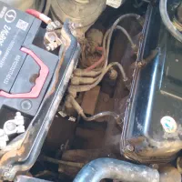 فروشپیکانوانت