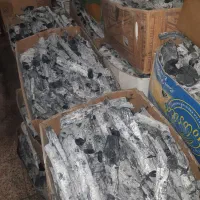 ذغال پسته قلیونی قلم سفید